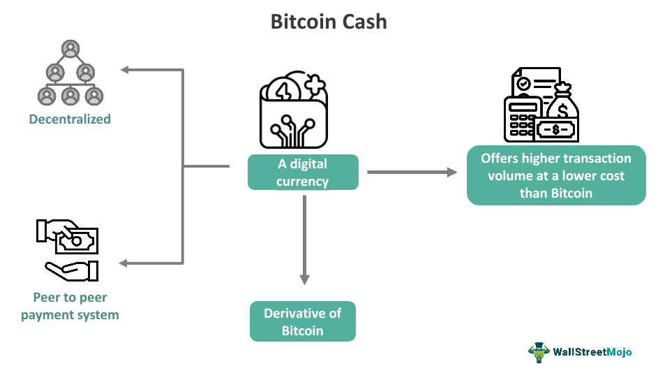 Diagram fungsi dan fitur Bitcoin Cash.