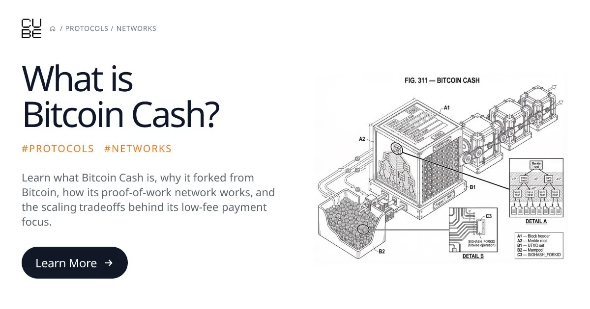 Infografik pengenalan Bitcoin Cash.
