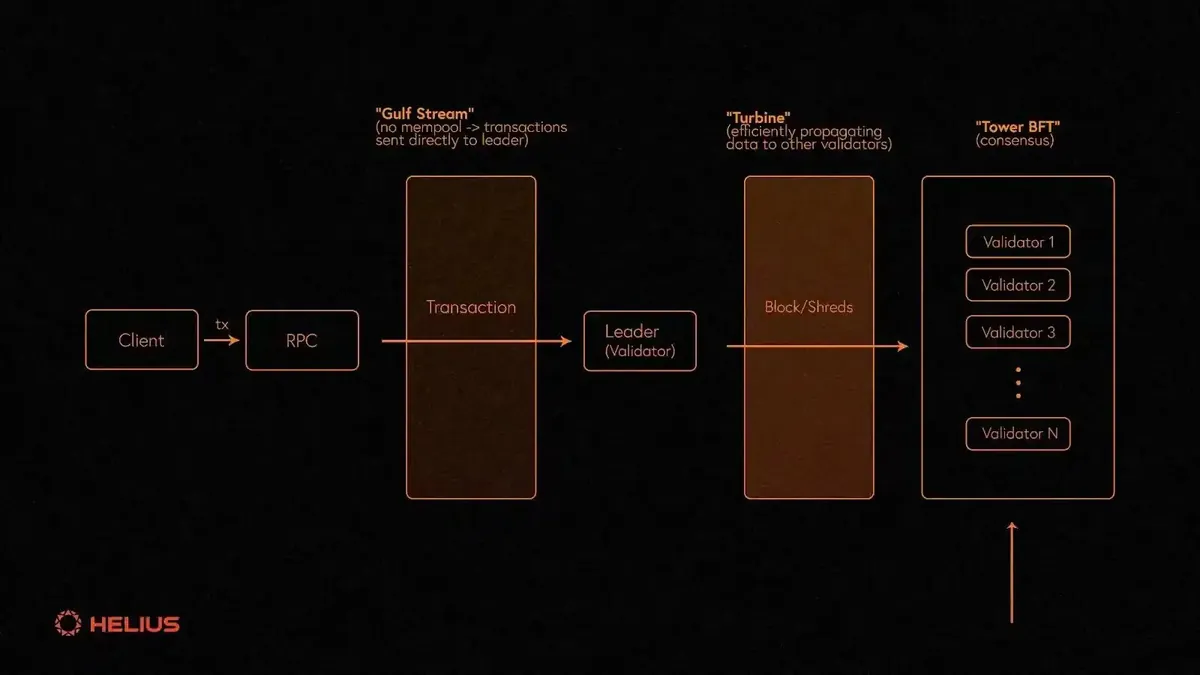 Diagram alur konsensus pada jaringan Solana.