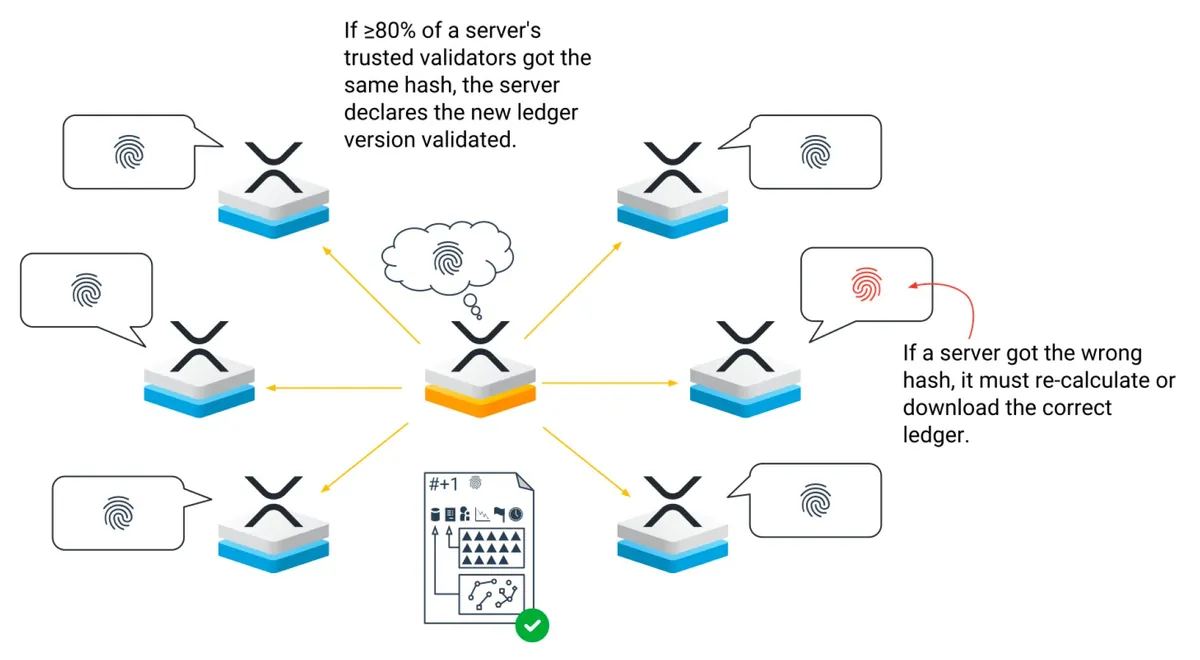 Diagram validasi terdistribusi untuk transaksi dan ledger XRP.