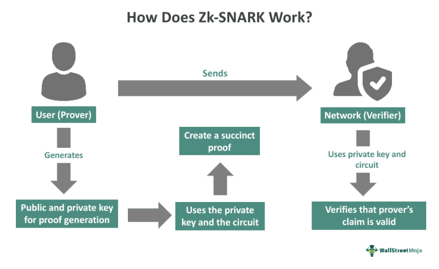 Diagram cara kerja zk-SNARK dengan pembukti dan pemeriksa.